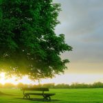 beautiful-sunset-images